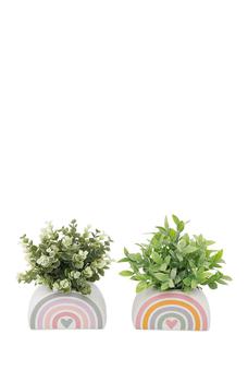 商品Eucalyptus & Tea Leaf in 5.75" Rainbow Pot, Set of 2图片