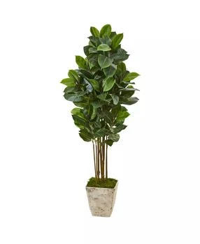 NEARLY NATURAL | 63in. Rubber Leaf Artificial Tree in Country White Planter,商家Macy's,价格¥1772