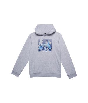 Under Armour | MT Logo Hoodie (Big Kids)商品图片,独家减免邮费