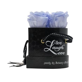Rosepops | Pop-Up Live, Laugh, Love Heart Shaped Lavender Sachet Real Roses, Box of 3,商家Macy's,价格¥706