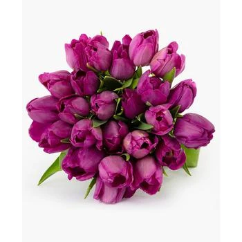 BloomsyBox | Purple Pop Tulips Fresh Flower Bouquet,商家Macy's,价格¥484