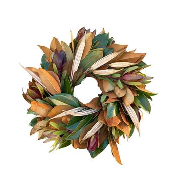 商品GreenishBlu | Fresh Real Magnolia, Safari and Dried Okra Wreath,商家Macy's,价格¥707图片