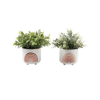 商品Flora Bunda | Eucalyptus Tea Leaf in Mini Rainbow Ceramic Pot Footed Set, 2 Piece,商家Macy's,价格¥517图片
