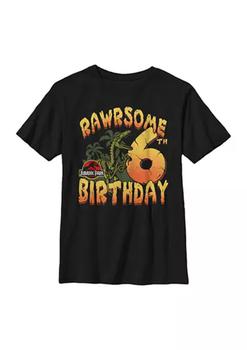 推荐Boys 4-7 Rawrsome 6th Birthday Graphic T-Shirt商品