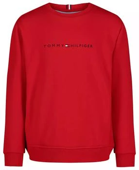 Tommy Hilfiger | Toddler and Little Boys Long Sleeve Sweatshirt,商家Macy's,价格¥190