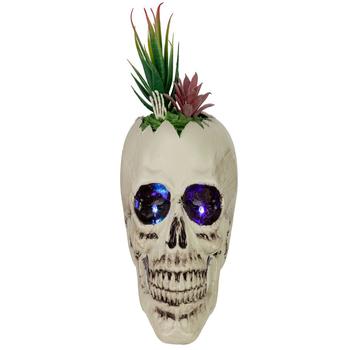 商品Northlight | 8.75" LED Lighted Succulent Halloween Skull Planter,商家Macy's,价格¥953图片