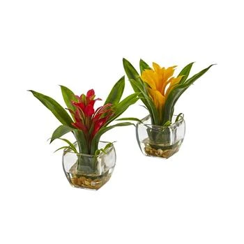 NEARLY NATURAL | 2-Pc. Bromeliad Set with Glass Vases,商家Macy's,价格¥699