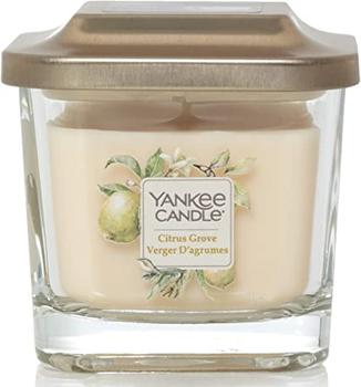 商品Yankee Candle 扬基 香薰蜡烛柑橘丛林小号 96g图片