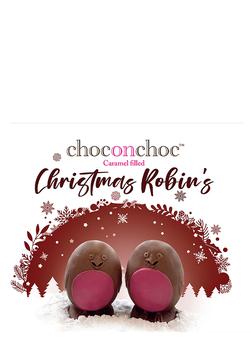 推荐Caramel-Filled Chocolate Christmas Robins 230g商品