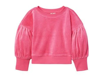 Janie and Jack | Velour Sweatshirt (Toddler/Little Kids/Big Kids) 7.5折