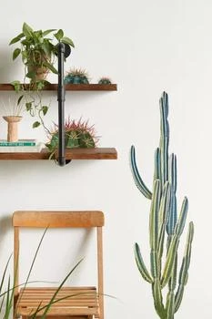 RoomMates | RoomMates Cactus Giant Peel And Stick Wall Decals,商家Urban Outfitters,价格¥295