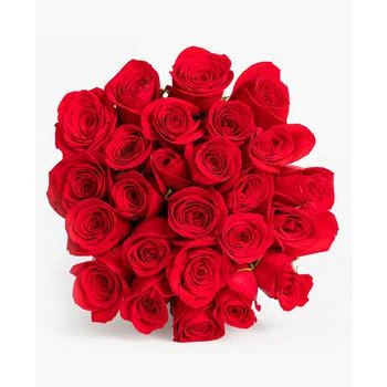BloomsyBox | Splendid Red Roses Fresh Flower Bouquet,商家Macy's,价格¥521
