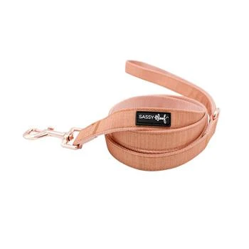 Sassy Woof | Leash- Apple Cider,商家Verishop,价格¥157
