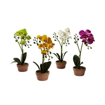 NEARLY NATURAL | 4-Pc. Phalaenopsis Orchid Set with Clay Vases,商家Macy's,价格¥696