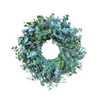 商品Fresh Real True Blue Eucalyptus Spring Wreath图片