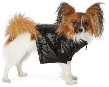 商品SSENSE 独家发售黑色宠物填充夹克图片