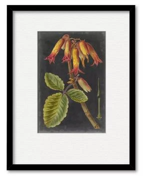 Courtside Market | Dramatic Tropicals III 16" x 20" Framed and Matted Art,商家Macy's,价格¥927