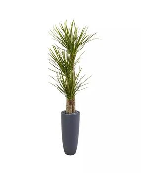 NEARLY NATURAL | 6' Yucca Artificial Tree in Bullet Planter,商家Macy's,价格¥2961