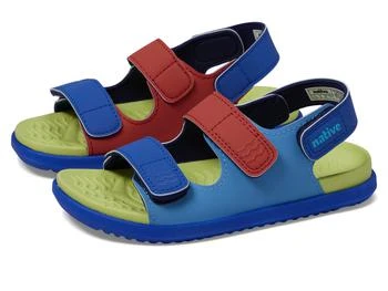 Native Shoes Kids | Frankie Sugarlite (Toddler),商家Zappos,价格¥189