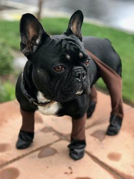 紧身裤男新款, Walkee Paws | New Adjustable Fit Cocoa Leggings商品图片 