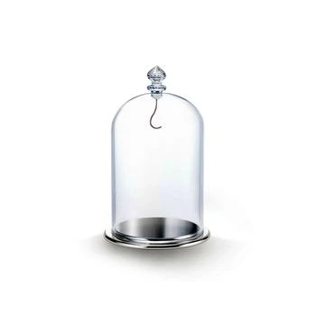 Swarovski | Bell Jar Display, Large,商家Macy's,价格¥885