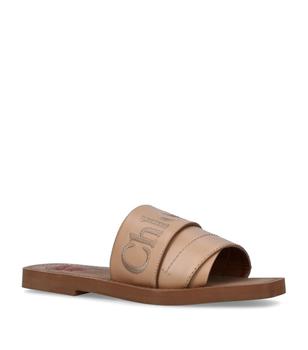 chloé鞋, Chloé | Embroidered Leather Slides商品图片 