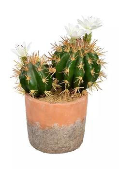 商品Vickerman | Green Cactus in Clay Pot,商家Belk,价格¥391图片