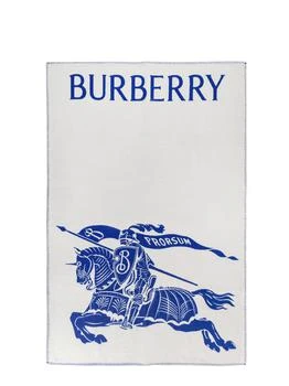 Burberry | Small Blanket,商家Italist,价格¥11036