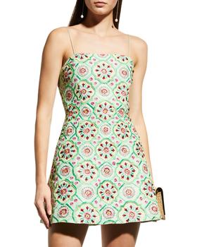 Lawrence Embroidered Mini Party Dress product img