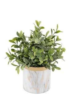 FLORA BUNDA | Tea leaf in GD Marble 4.5" Ceramic Pot,商家Nordstrom Rack,价格¥236