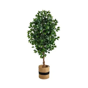 NEARLY NATURAL | 6' Ficus Artificial Tree with Natural Trunk in Planter,商家Macy's,价格¥1264