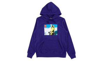 supreme卫衣, Supreme | Supreme TNF Photo Hooded Sweatshirt商品图片 