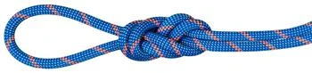 Mammut | Mammut 7.5 Alpine Sender Dry Rope,商家Dick's Sporting Goods,价格¥1936