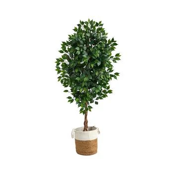 NEARLY NATURAL | 6' Ficus Artificial Tree with Natural Trunk in Planter,商家Macy's,价格¥1272