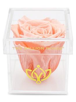 商品The Million Roses | Peach Rose In Single Rose Box,商家Saks Fifth Avenue,价格¥446图片