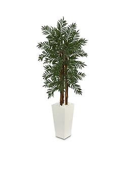 商品Parlor Palm Artificial Tree,商家Belk,价格¥4110图片