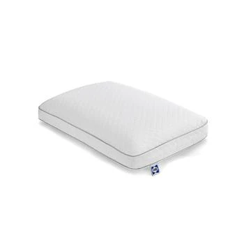 Sealy | Memory Foam Bed Pillow,商家Macy's,价格¥290