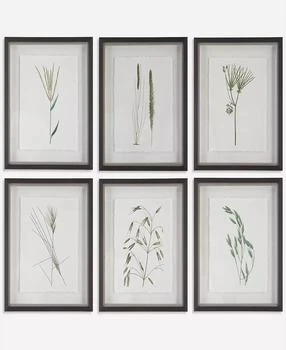 Uttermost | Forest Finds Framed Prints Art, Set of 6,商家Macy's,价格¥3582