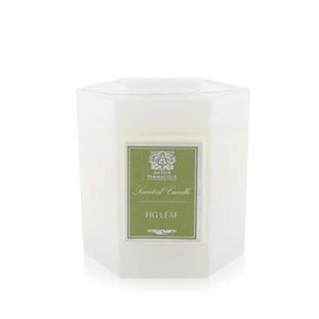 Antica Farmacista | 9 oz Candle - Fig Leaf,商家Premium Outlets,价格¥406