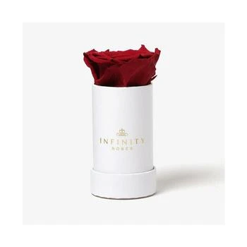Infinity Roses | Single Red Real Rose Preserved To Last Over A Year (A $39.95 Value),商家Macy's,价格¥298