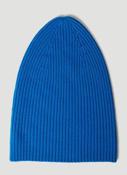 推荐Ribbed Beanie Hat in Blue商品