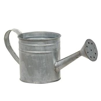 HomeGifo | Natural Zinc Watering Can,商家Premium Outlets,价格¥376