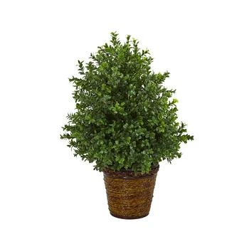 NEARLY NATURAL | 23" Sweet Grass Artificial Plant in Basket Indoor/Outdoor,商家Macy's,价格¥841