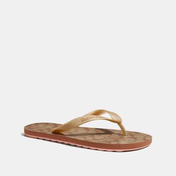 蔻驰女鞋, Coach | Coach Outlet Zak Flip Flop商品图片 3.5折×额外8.5折, 额外八五折