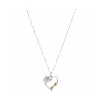 Disney | Two-Tone Gold Flash-Plated "Family" Heart Pendant Necklace商品图片,3.5折