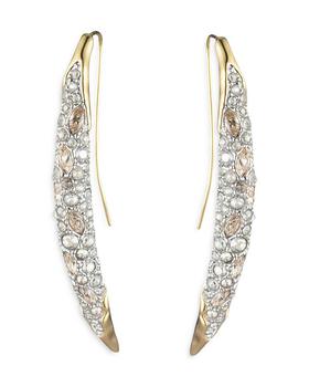 推荐Solanales Crystal Spear Wire Earrings商品
