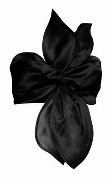 推荐Andres Otalora - Women's Canela Silk Shantung Top - Black - US 0 - Moda Operandi商品