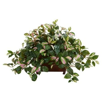 NEARLY NATURAL | Hoya Artificial Plant in Decorative Planter,商家Macy's,价格¥756