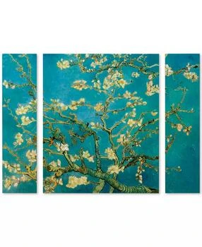 Trademark Global | Vincent van Gogh 'Almond Branches In Bloom' Multi Panel Art Set Large - 41" x 30" x 2",商家Macy's,价格¥1291