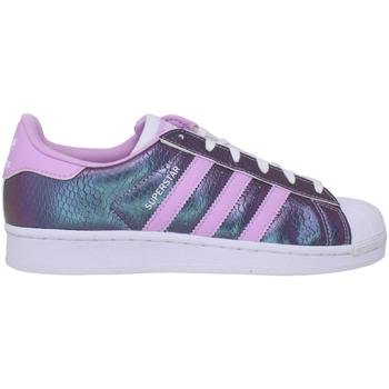 adidas superstar多少钱, Adidas | Adidas Superstar FTWWHT/CLELIL/FTWWHT  B37184 Grade-School商品图片 3.1折